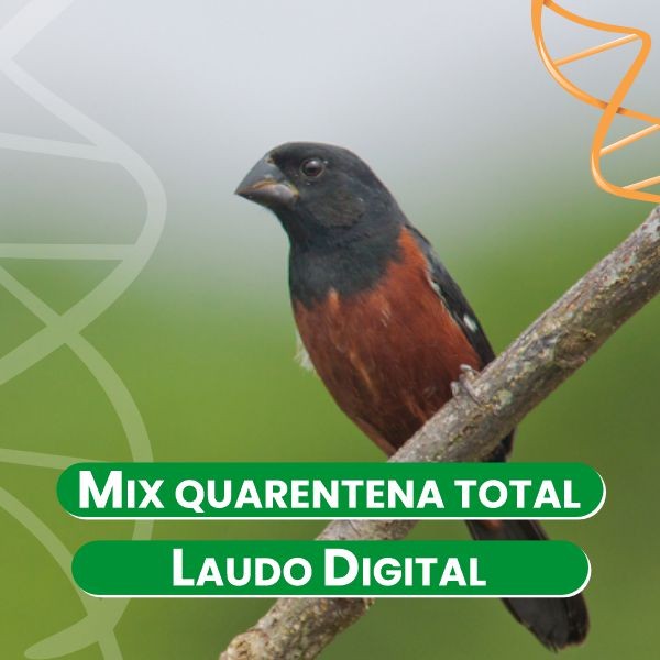 mix-quarentena-total