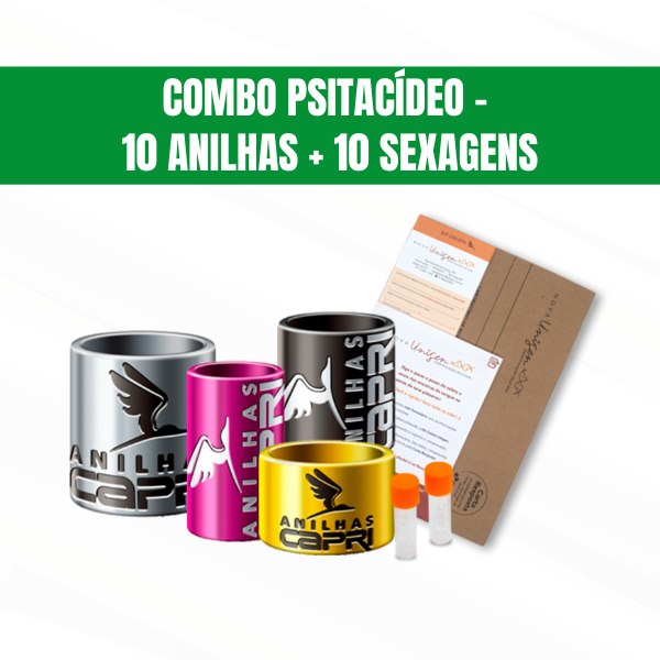 combo-psitacideo-pequeno-10-anilhas--10-sexagens