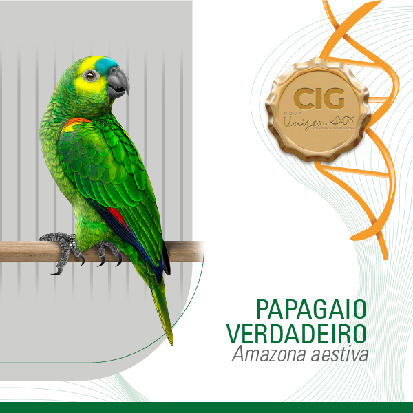 genotipagem-cig-papagaio-verdadeiro