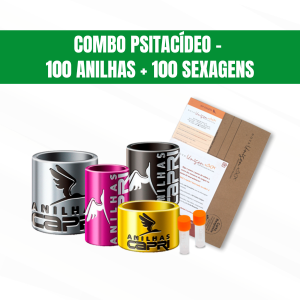 combo-psitacideo-pequeno-100-anilhas--100-sexagens